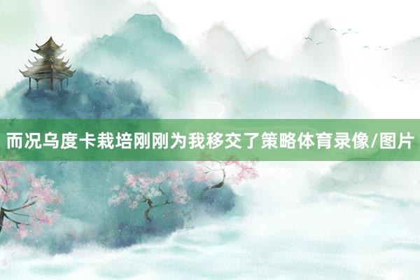 而况乌度卡栽培刚刚为我移交了策略体育录像/图片