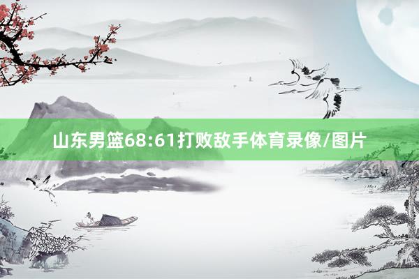 山东男篮68:61打败敌手体育录像/图片