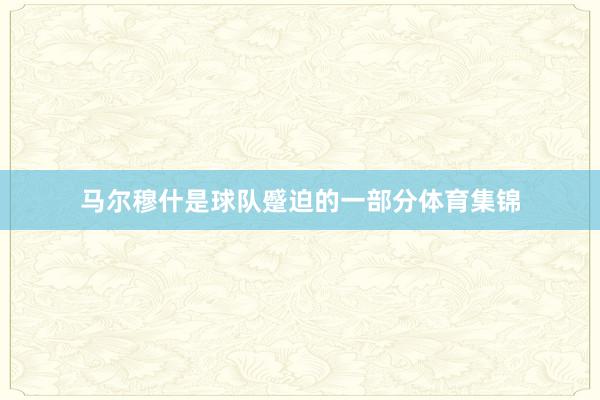马尔穆什是球队蹙迫的一部分体育集锦