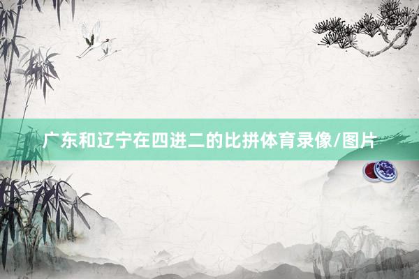 广东和辽宁在四进二的比拼体育录像/图片