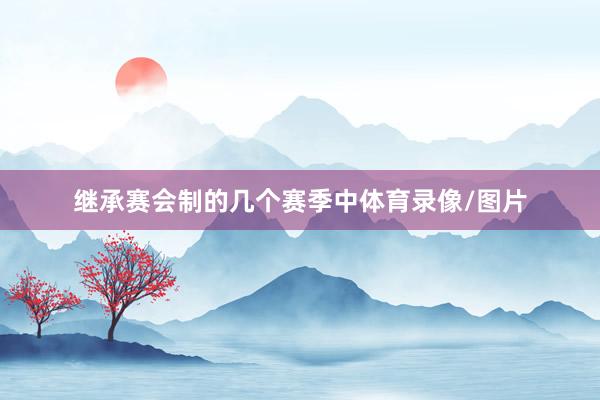 继承赛会制的几个赛季中体育录像/图片
