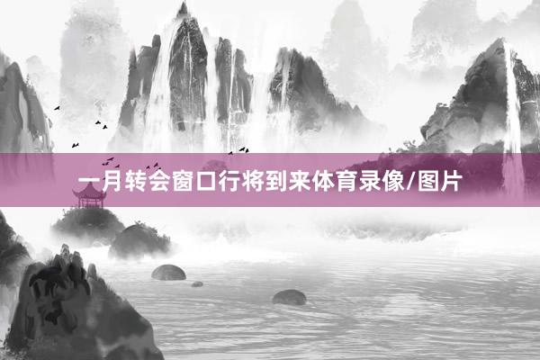 一月转会窗口行将到来体育录像/图片