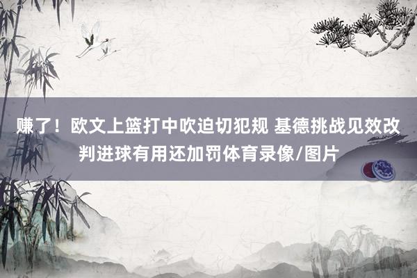 赚了！欧文上篮打中吹迫切犯规 基德挑战见效改判进球有用还加罚体育录像/图片