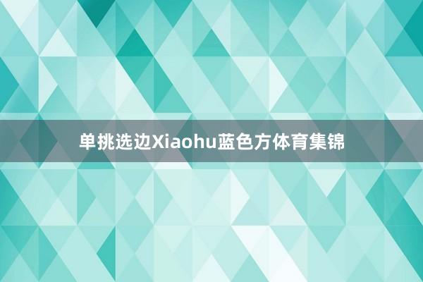 单挑选边Xiaohu蓝色方体育集锦