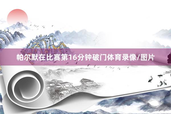 帕尔默在比赛第16分钟破门体育录像/图片