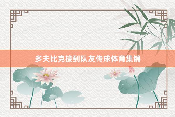 多夫比克接到队友传球体育集锦