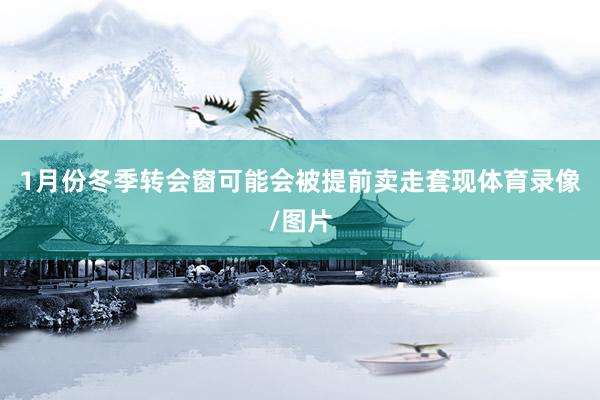 1月份冬季转会窗可能会被提前卖走套现体育录像/图片