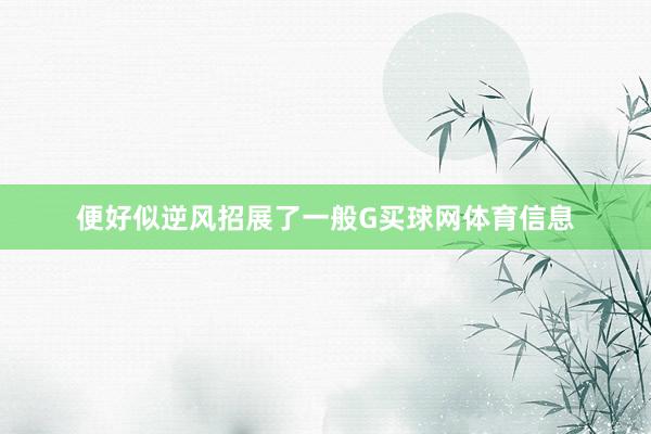 便好似逆风招展了一般G买球网体育信息