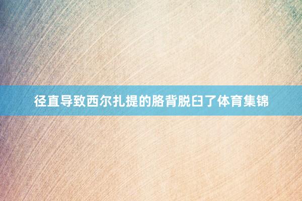 径直导致西尔扎提的胳背脱臼了体育集锦
