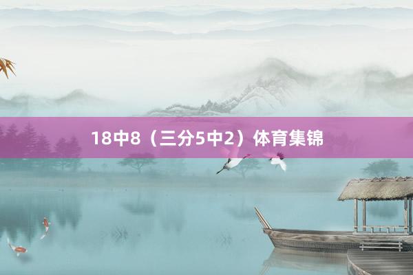 18中8（三分5中2）体育集锦