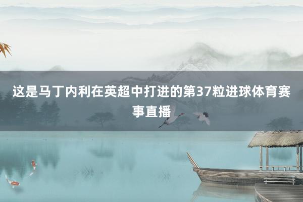 这是马丁内利在英超中打进的第37粒进球体育赛事直播