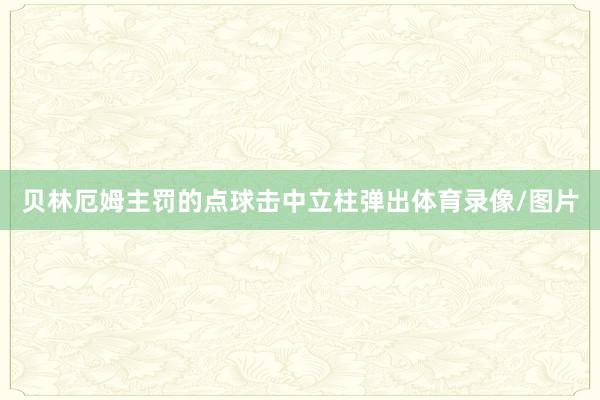 贝林厄姆主罚的点球击中立柱弹出体育录像/图片