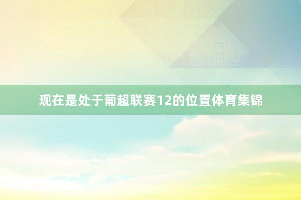 现在是处于葡超联赛12的位置体育集锦