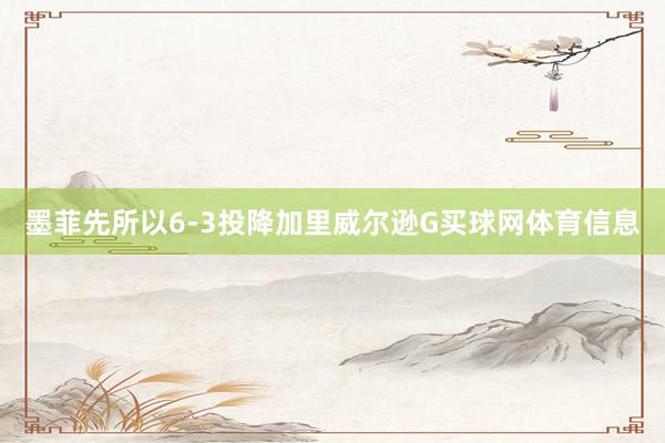 墨菲先所以6-3投降加里威尔逊G买球网体育信息