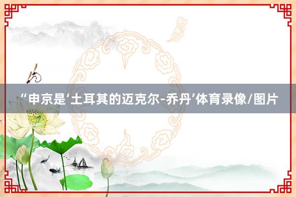 “申京是‘土耳其的迈克尔-乔丹’体育录像/图片