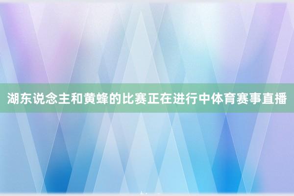 湖东说念主和黄蜂的比赛正在进行中体育赛事直播