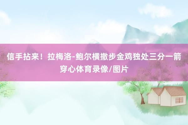 信手拈来！拉梅洛-鲍尔横撤步金鸡独处三分一箭穿心体育录像/图片