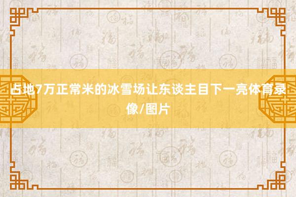 占地7万正常米的冰雪场让东谈主目下一亮体育录像/图片