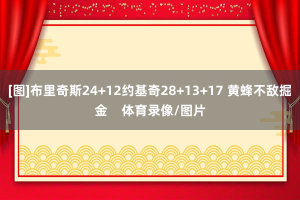 [图]布里奇斯24+12约基奇28+13+17 黄蜂不敌掘金    体育录像/图片