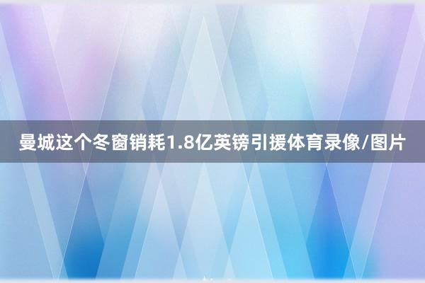 曼城这个冬窗销耗1.8亿英镑引援体育录像/图片