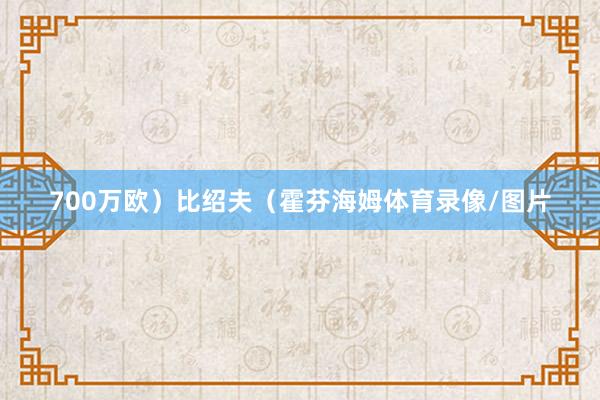 700万欧）比绍夫（霍芬海姆体育录像/图片