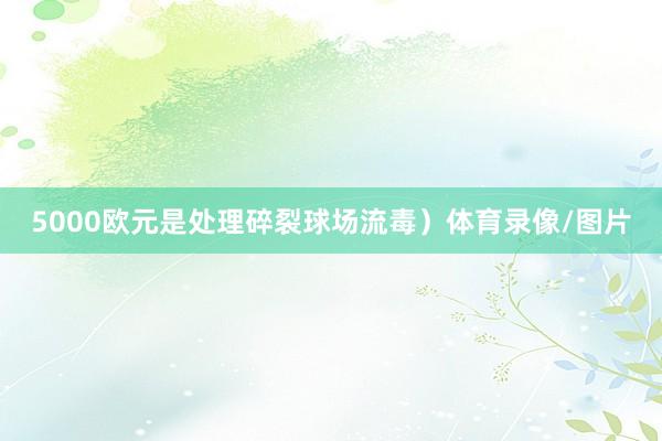5000欧元是处理碎裂球场流毒）体育录像/图片