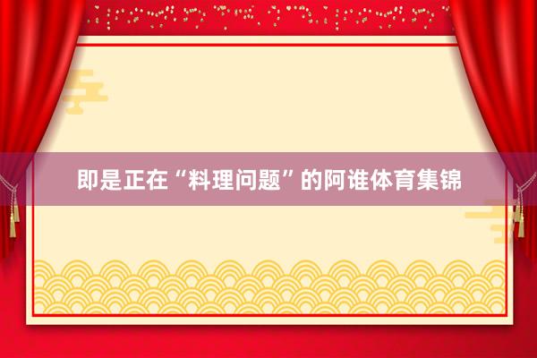 即是正在“料理问题”的阿谁体育集锦