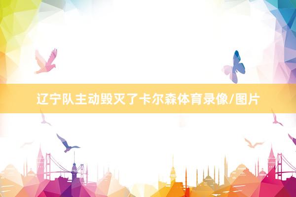 辽宁队主动毁灭了卡尔森体育录像/图片