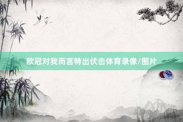 欧冠对我而言特出伏击体育录像/图片