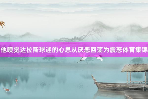 他嗅觉达拉斯球迷的心思从厌恶回荡为震怒体育集锦