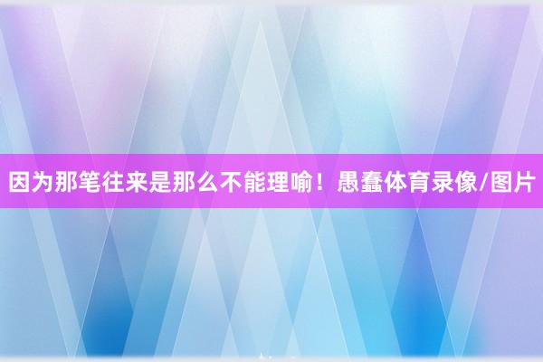 因为那笔往来是那么不能理喻！愚蠢体育录像/图片