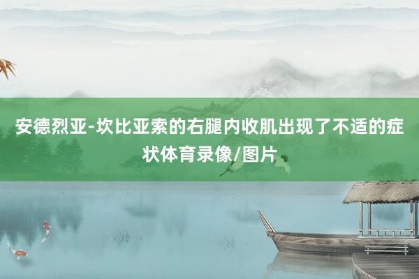 安德烈亚-坎比亚索的右腿内收肌出现了不适的症状体育录像/图片