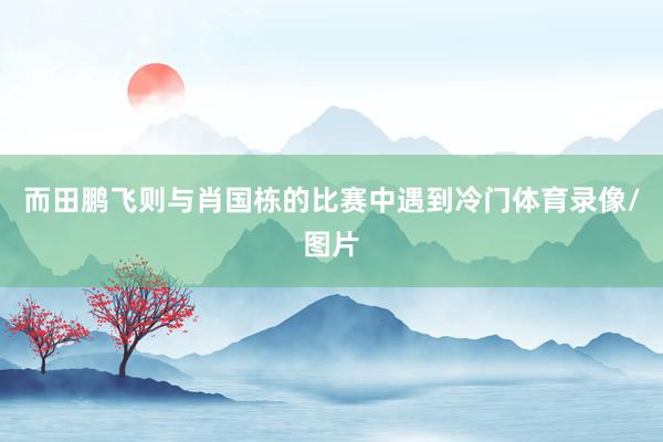 而田鹏飞则与肖国栋的比赛中遇到冷门体育录像/图片