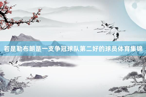 若是勒布朗是一支争冠球队第二好的球员体育集锦