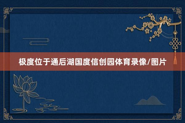 极度位于通后湖国度信创园体育录像/图片