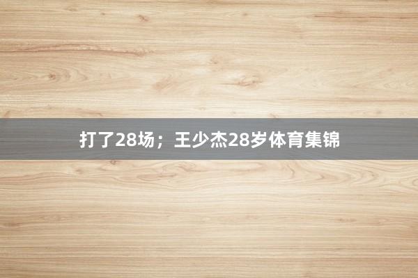 打了28场；王少杰28岁体育集锦