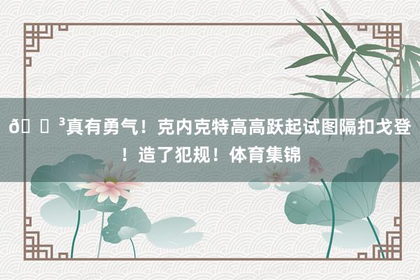 😳真有勇气！克内克特高高跃起试图隔扣戈登！造了犯规！体育集锦