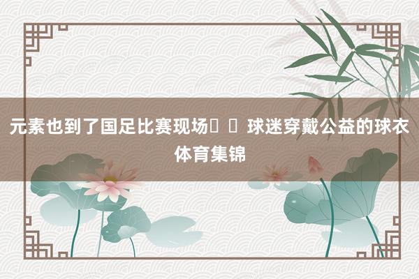 元素也到了国足比赛现场☺️球迷穿戴公益的球衣体育集锦