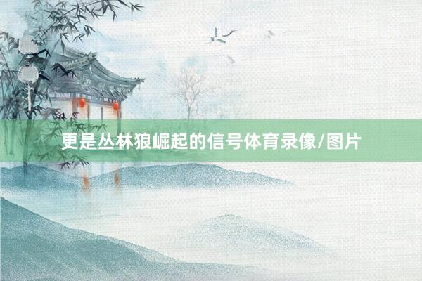 更是丛林狼崛起的信号体育录像/图片