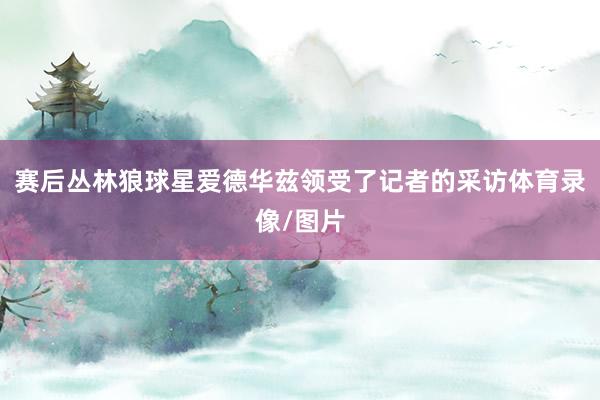 赛后丛林狼球星爱德华兹领受了记者的采访体育录像/图片