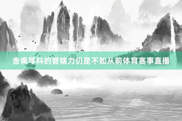 舍甫琴科的管辖力仍是不如从前体育赛事直播
