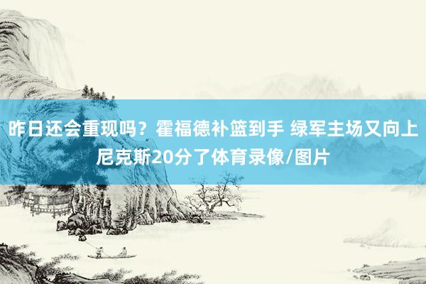 昨日还会重现吗？霍福德补篮到手 绿军主场又向上尼克斯20分了体育录像/图片