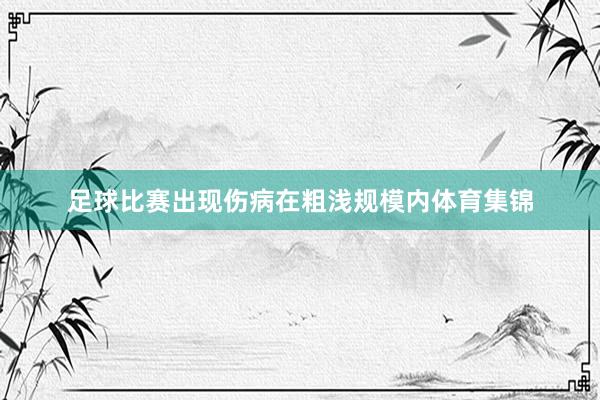 足球比赛出现伤病在粗浅规模内体育集锦