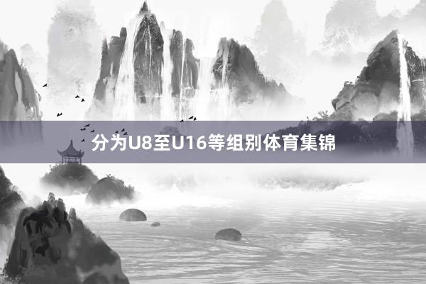 分为U8至U16等组别体育集锦