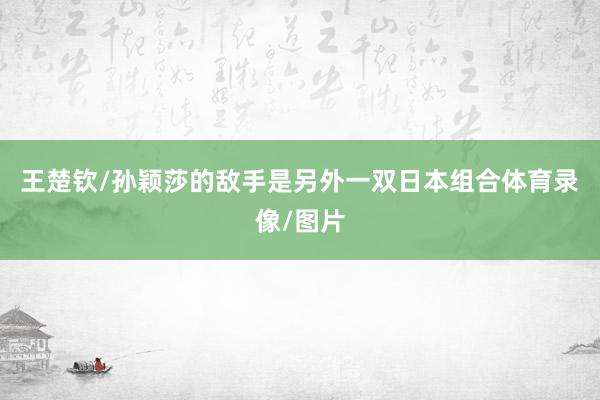 王楚钦/孙颖莎的敌手是另外一双日本组合体育录像/图片