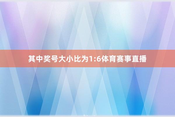 其中奖号大小比为1:6体育赛事直播