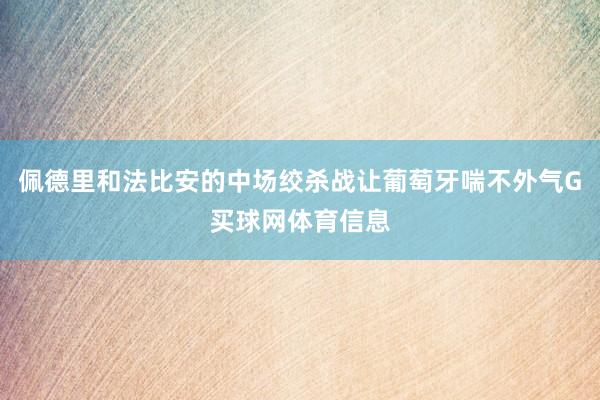 佩德里和法比安的中场绞杀战让葡萄牙喘不外气G买球网体育信息