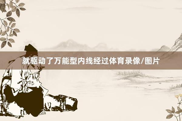 就驱动了万能型内线经过体育录像/图片