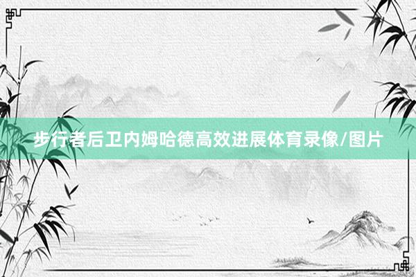 步行者后卫内姆哈德高效进展体育录像/图片