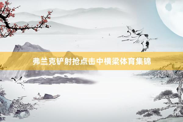弗兰克铲射抢点击中横梁体育集锦